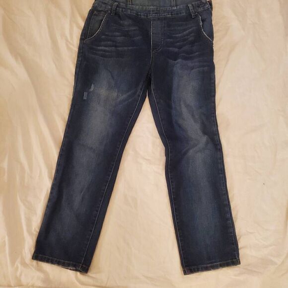 EUC Free People Blue Jean Overalls Size 30 - Picture 2 of 13